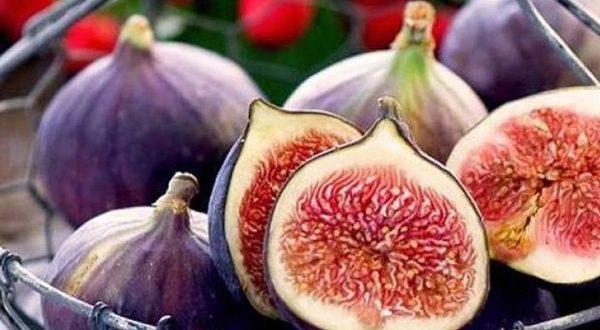 روشهایی ساده برای تقویت حافظه کنکوریها