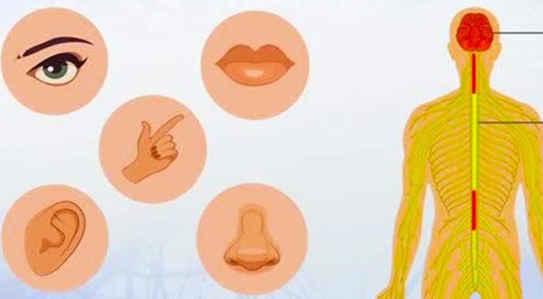 حافظه چیست و انواع حافظه